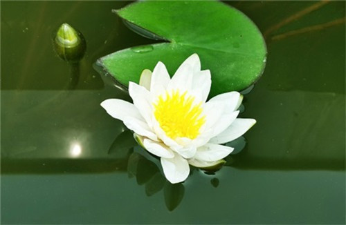 西安到鳳棲山南區(qū)的路線(xiàn)