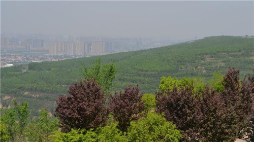 西安霸陵墓園在管理方面采取了哪些現(xiàn)代化措施？