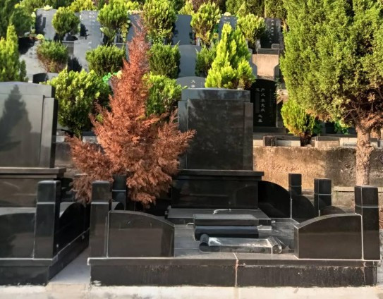 西安公墓年后需不需要繳費，具體怎么收費？
