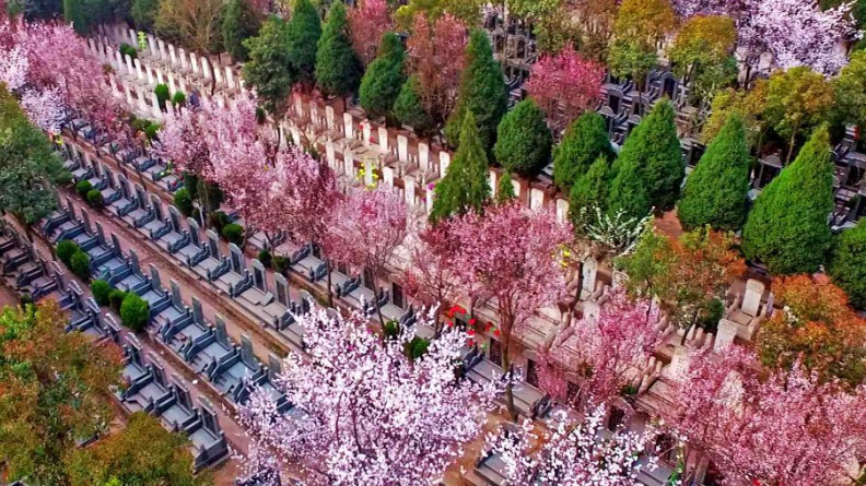 西安墓園怎么選擇地點(diǎn)-如何選擇合適的西安墓園地點(diǎn)？