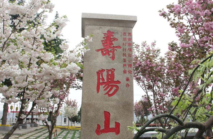 西安鯨魚溝壽陽山圖片，壽陽山公墓