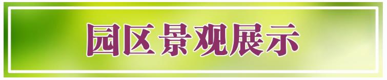 西安鯨魚溝壽陽山圖片，壽陽山公墓