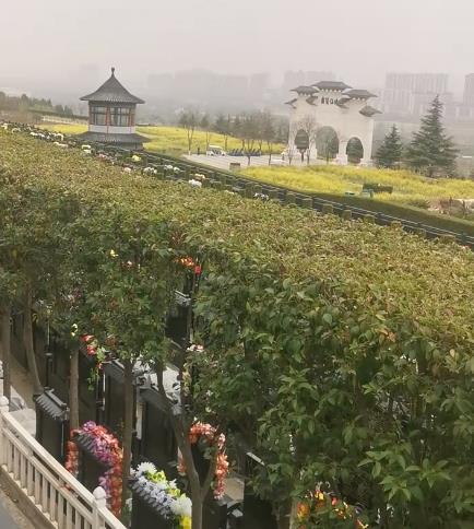 西安霸陵新區(qū)寶玉園，視野開闊，綠樹成蔭！
