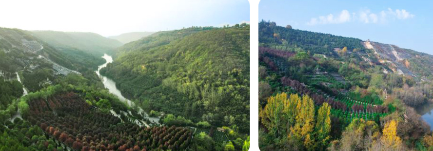 西安壽陽山骨灰墓園地處鯨魚溝中段，依山傍水，地勢高爽